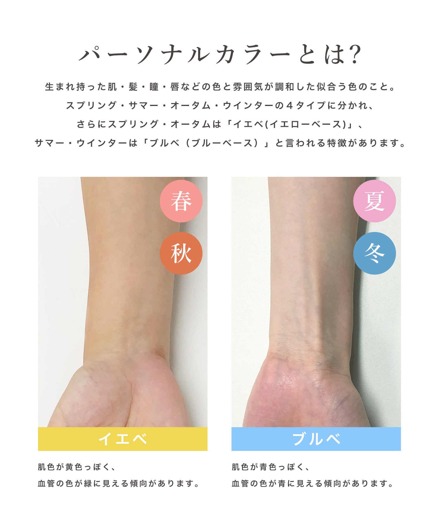 ネックが選べるパーソナルカラーニットトップス JB24517